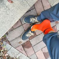 ���ĳ�ɫ��һ�Ż�