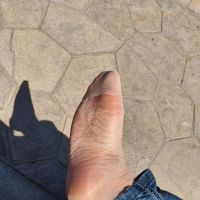 ��������ɹɹ��