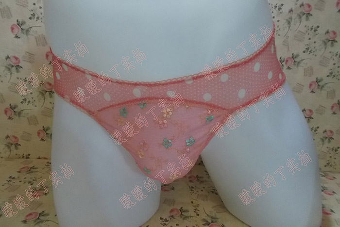 зۺӡǿʽԸŮԻڿװCDɴڿ