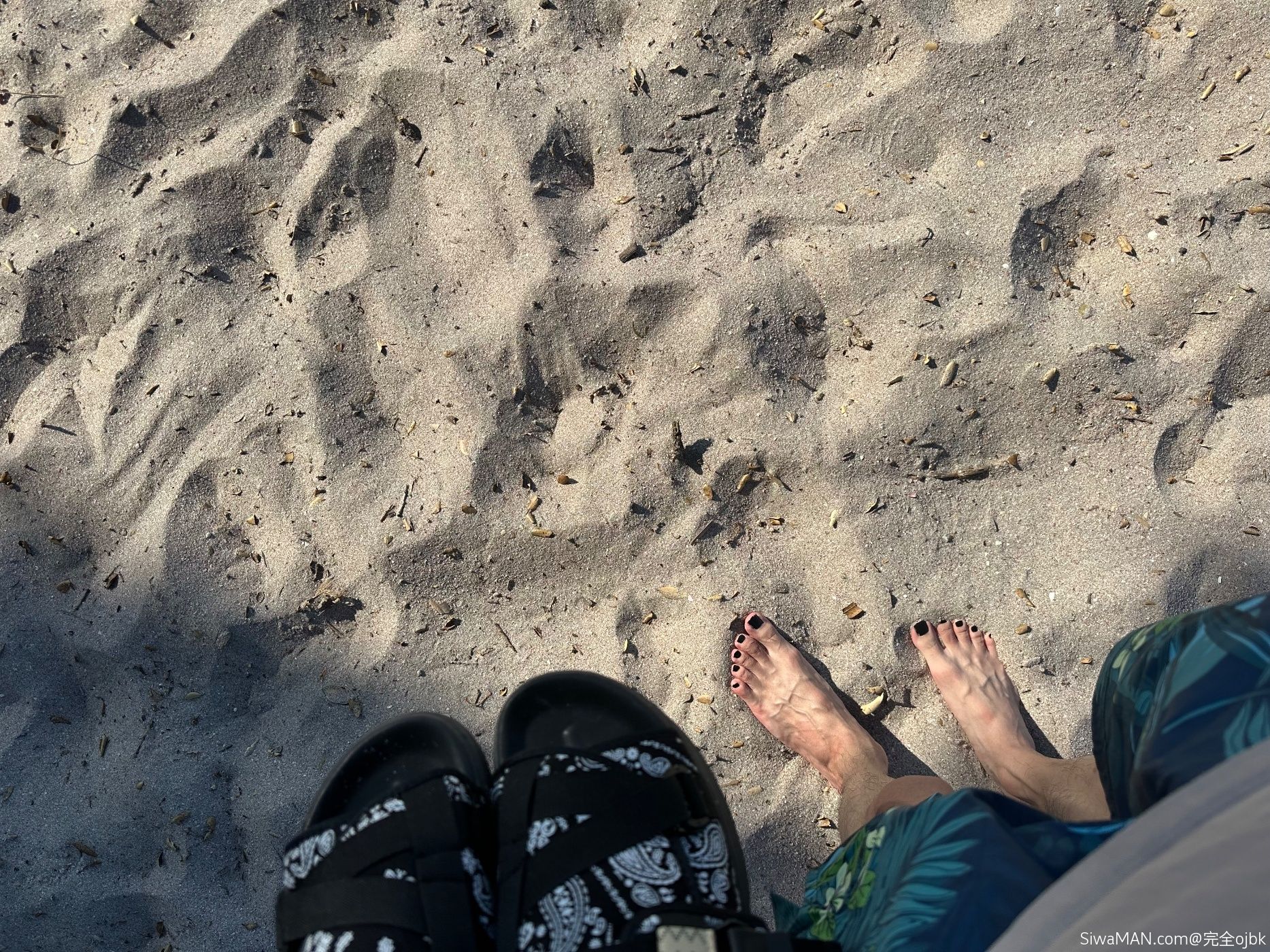 ��һ����������Ƭ