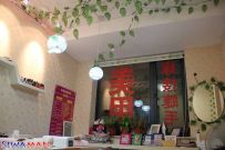 [׵]ͼ˵ĽֺҲޢ2013ɫ[12P]