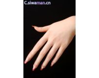 ����������[1P]