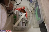 [׵]ȥʣ˵ĽֺҲޢ2013ɫ[7P]