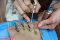 2013׵꡿ɫޢ-ɫͼ[9P]