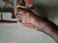 ˽ëĺɫָͺͺɫ˿[1P]